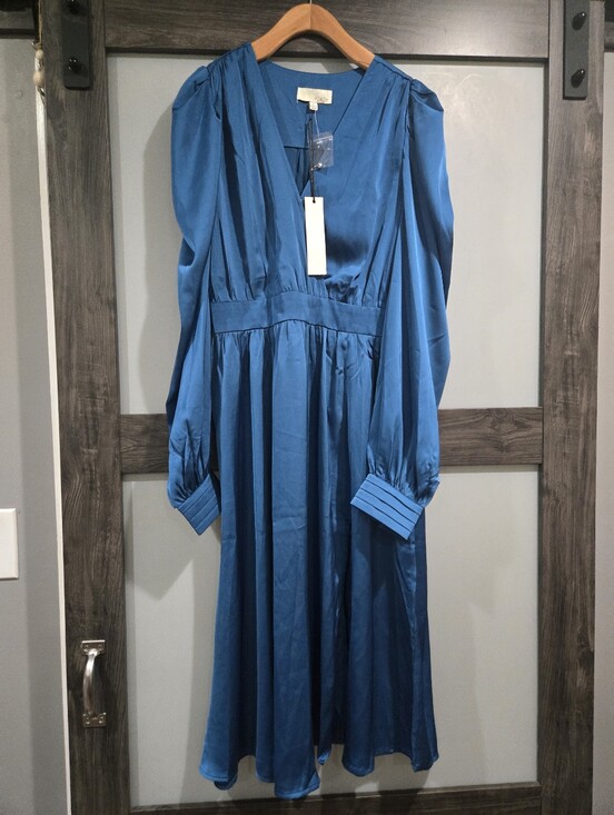 Pinch Dresses & Skirts - NWT Pinch Satin Blue Long Sleeve Turquoise Blue Dress Size Large